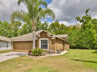 4610 McBrine Ct, Land O Lakes, FL 34639