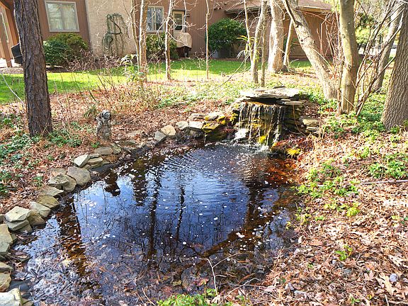 Pond 