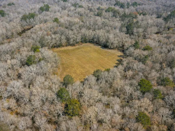 0 State Highway 106, Brantley, AL 36009