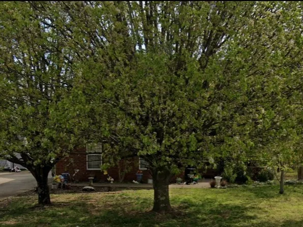 3338 Meadowhill Dr, Murfreesboro, TN 37130