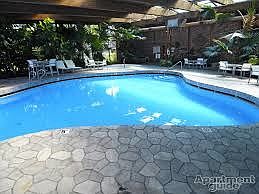 Amazing indoor pool!