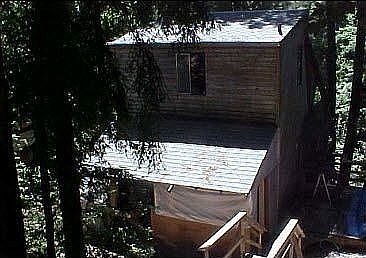 Guest Cabin - rear