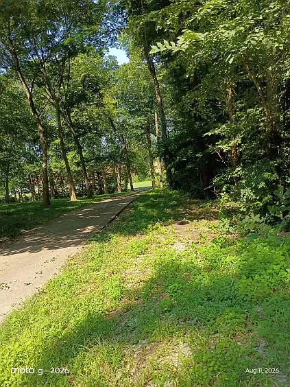 2909 County Road 214 — Photo 12