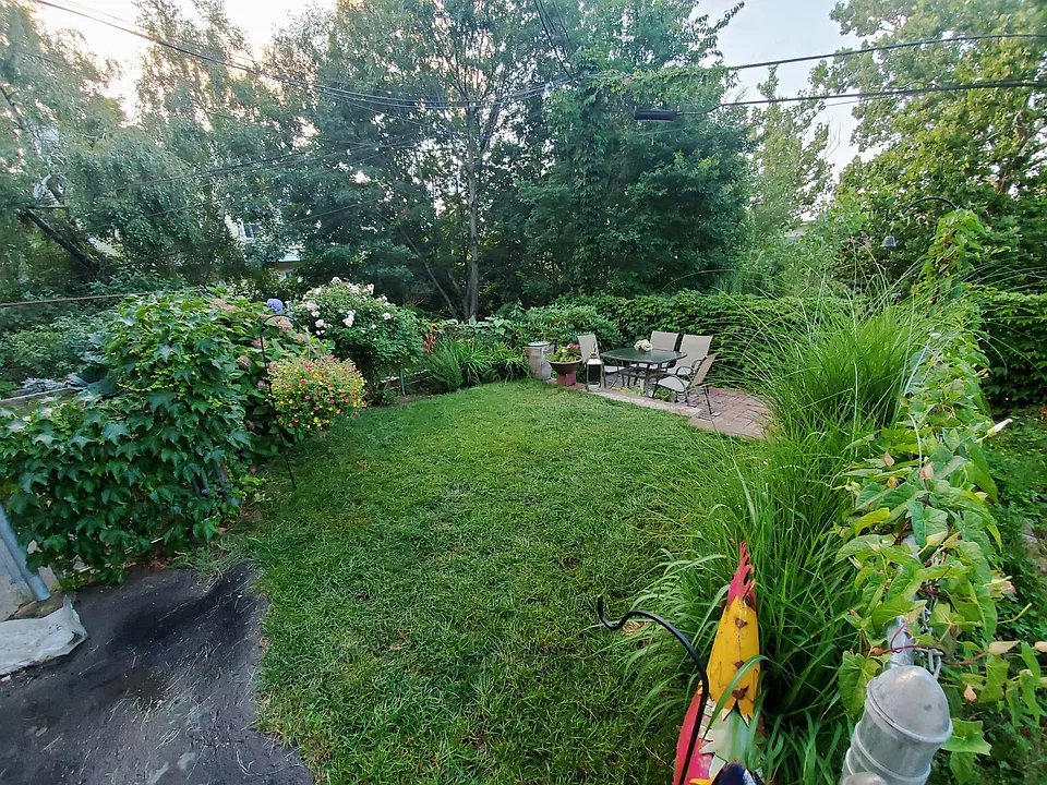 Shared backyard