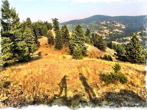 5th image of Tbd Mp 392 Hwy #20