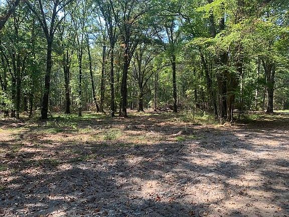 5th image of Jc Loop