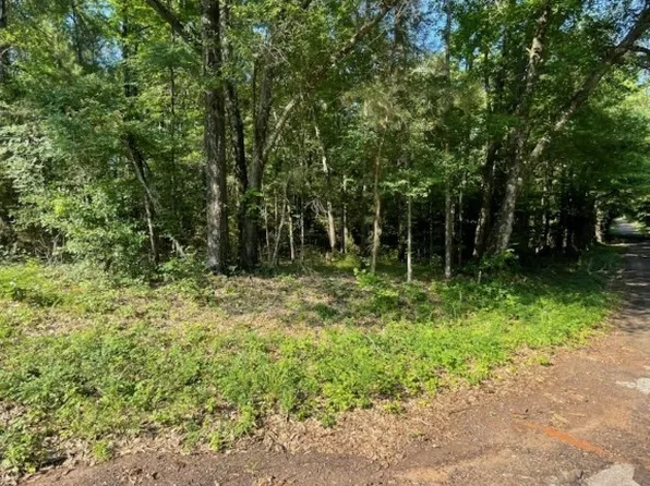 4912 Wheeler #4903, Ben Wheeler, TX 75754