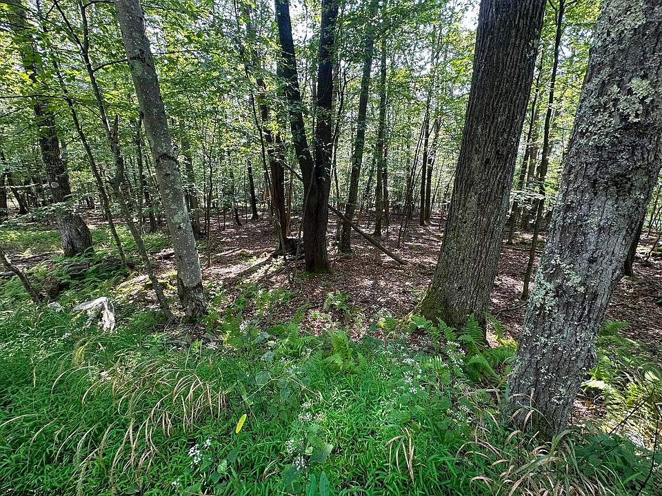 1st image of 51 Beebalm Ct