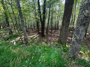 51 Beebalm Ct, Terra Alta, WV 26764