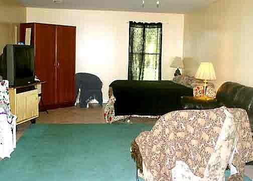 living room open room plan with bed