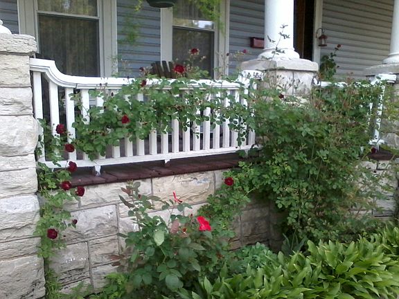 Front porch roses