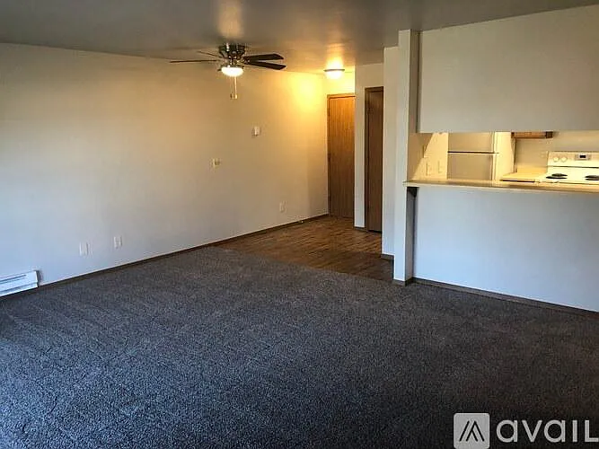 521 Lincoln Street - 204 — Photo 4