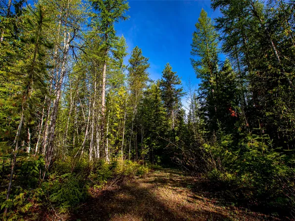 1360 Cameron Ln, Whitefish, MT 59937