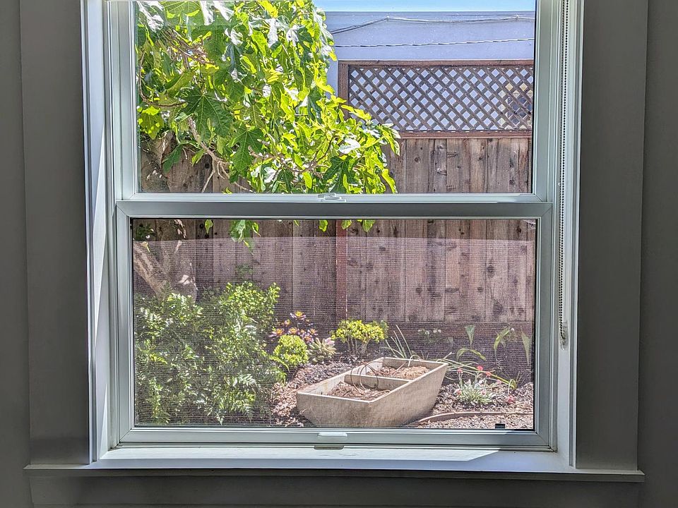 View from living room