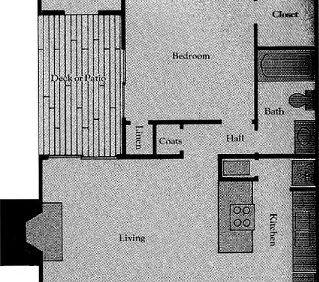 Palmetto Club Apartments — Photo 14