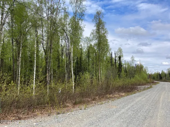 47138 S Merlin Dr, Talkeetna, AK 99676