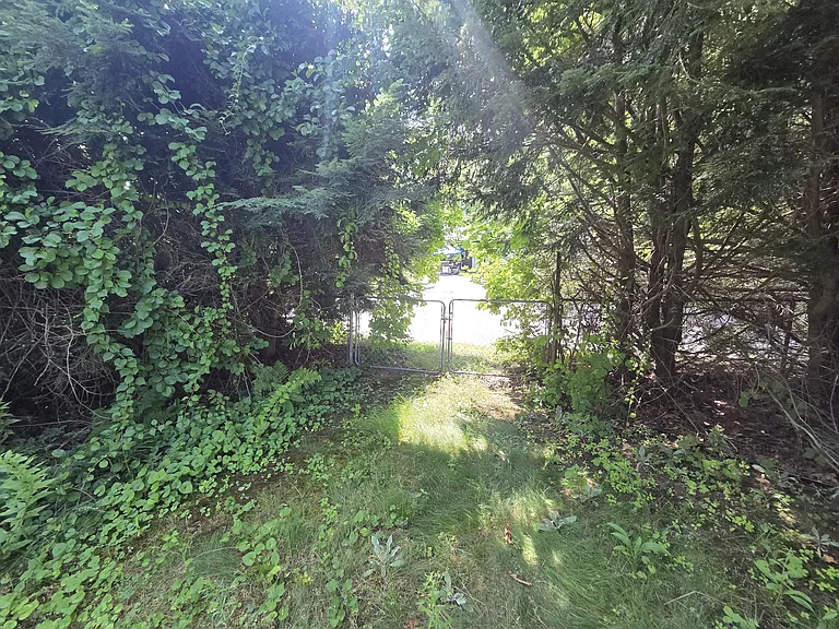 gateway from the backyard to the street