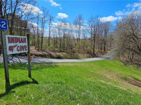 425 Indian Cv, Moravia, NY 13118