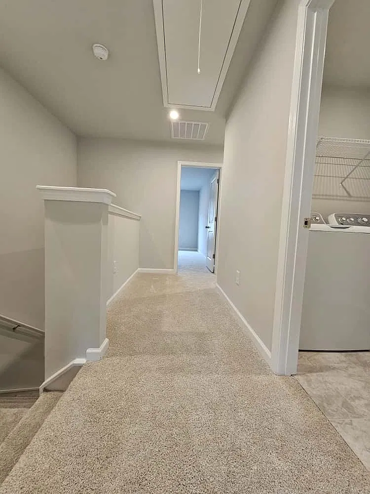 171 Randwick Lane - 1 — Photo 3