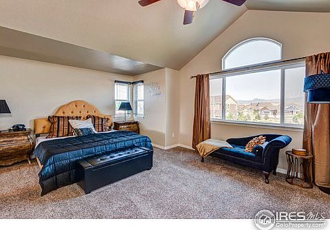 5th image of 697 Vermilion Peak Dr