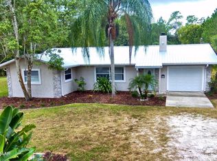 1366 Jane Lacy Ln, New Smyrna Beach, FL 32168