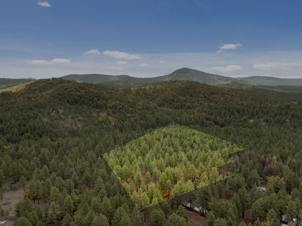 4 E Aspen Dr, Parks, AZ 86018