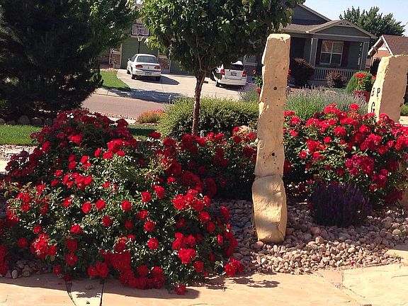 Beautifully landscaped