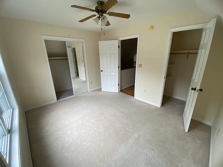 3703 Lupine Dr — Photo 13