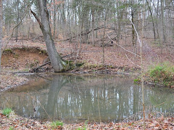 3rd image of Westover Farms Drive