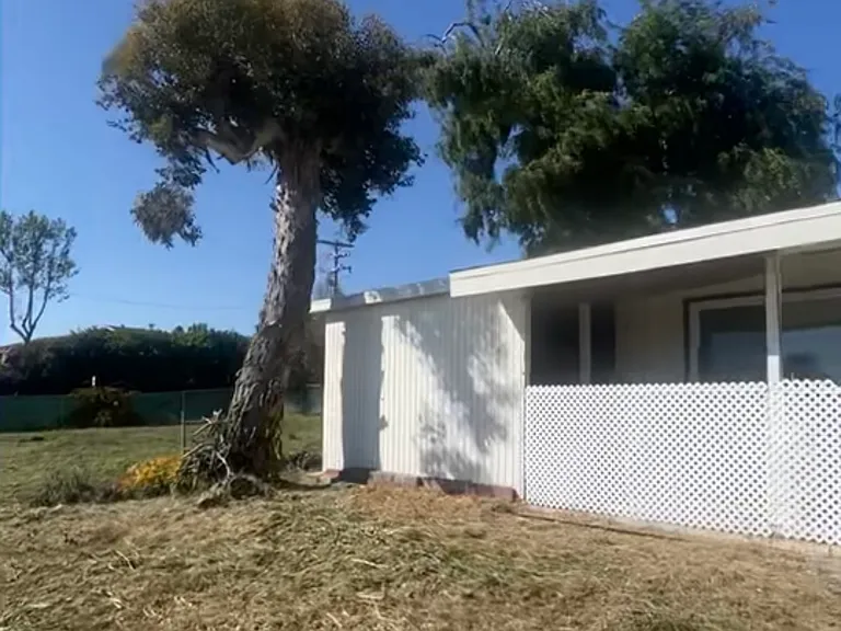 Del Rey — Photo 12