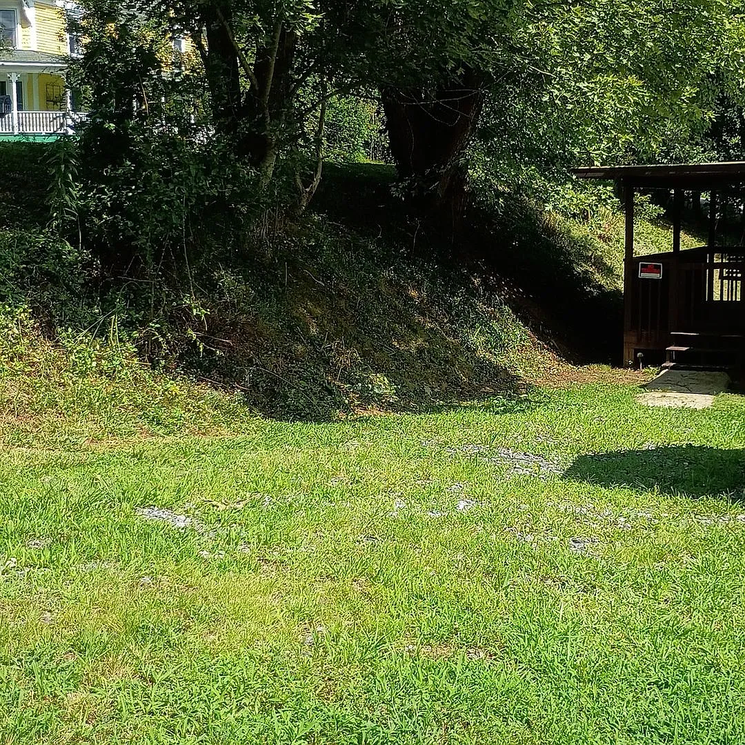 Charming 2BR House in Weaverville — Photo 3
