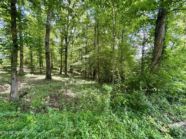 0 Rolling Acres Dr, Rockwood, TN 37854