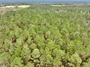 1 Winic Pierce Rd, Seminary, MS 39479