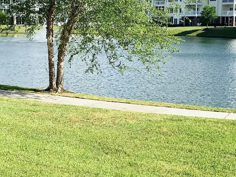 4851 Luster Leaf Cir #104 — Photo 12