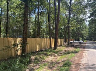 23456 Sweet Gum Dr, Hockley, TX 77447