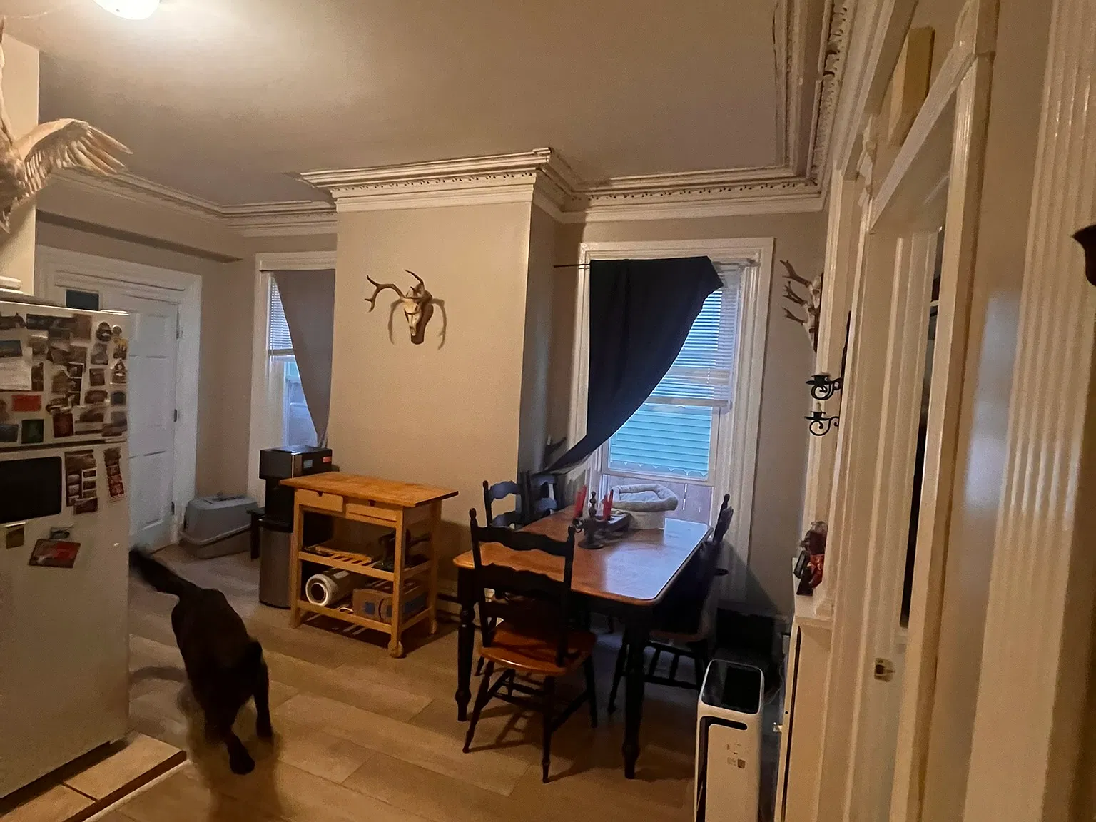 1 bed, 900 sqft, $1,775 — Photo 4