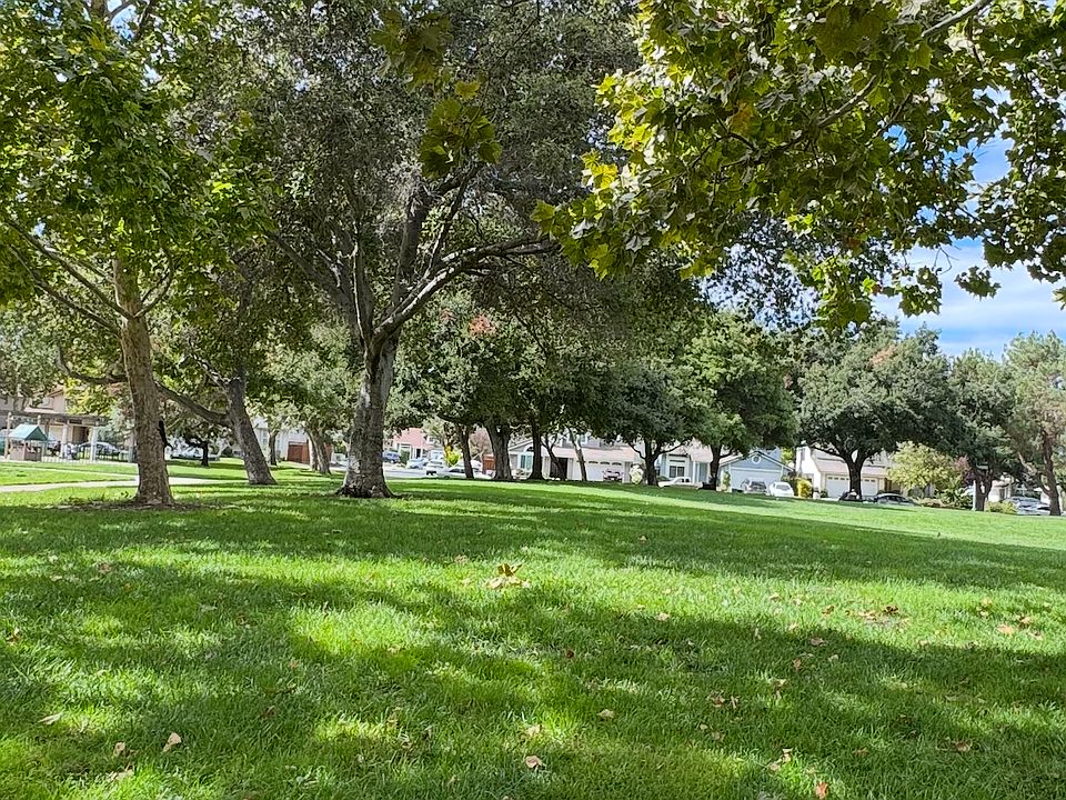 1st image of 203 Pecan Grove Ct
