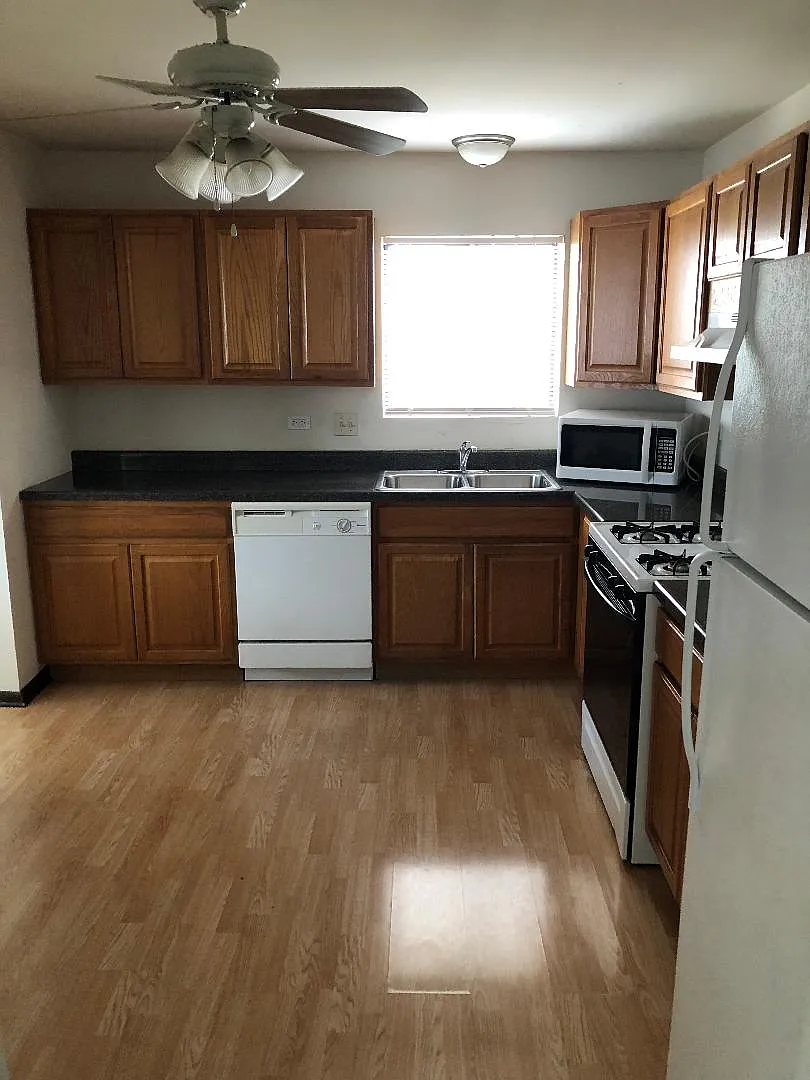 Lunar Ave, Orland Park — Photo 4