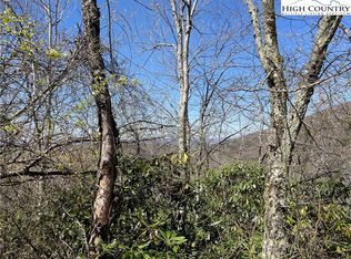 326 Locust Ridge Rd, Banner Elk, NC 28604