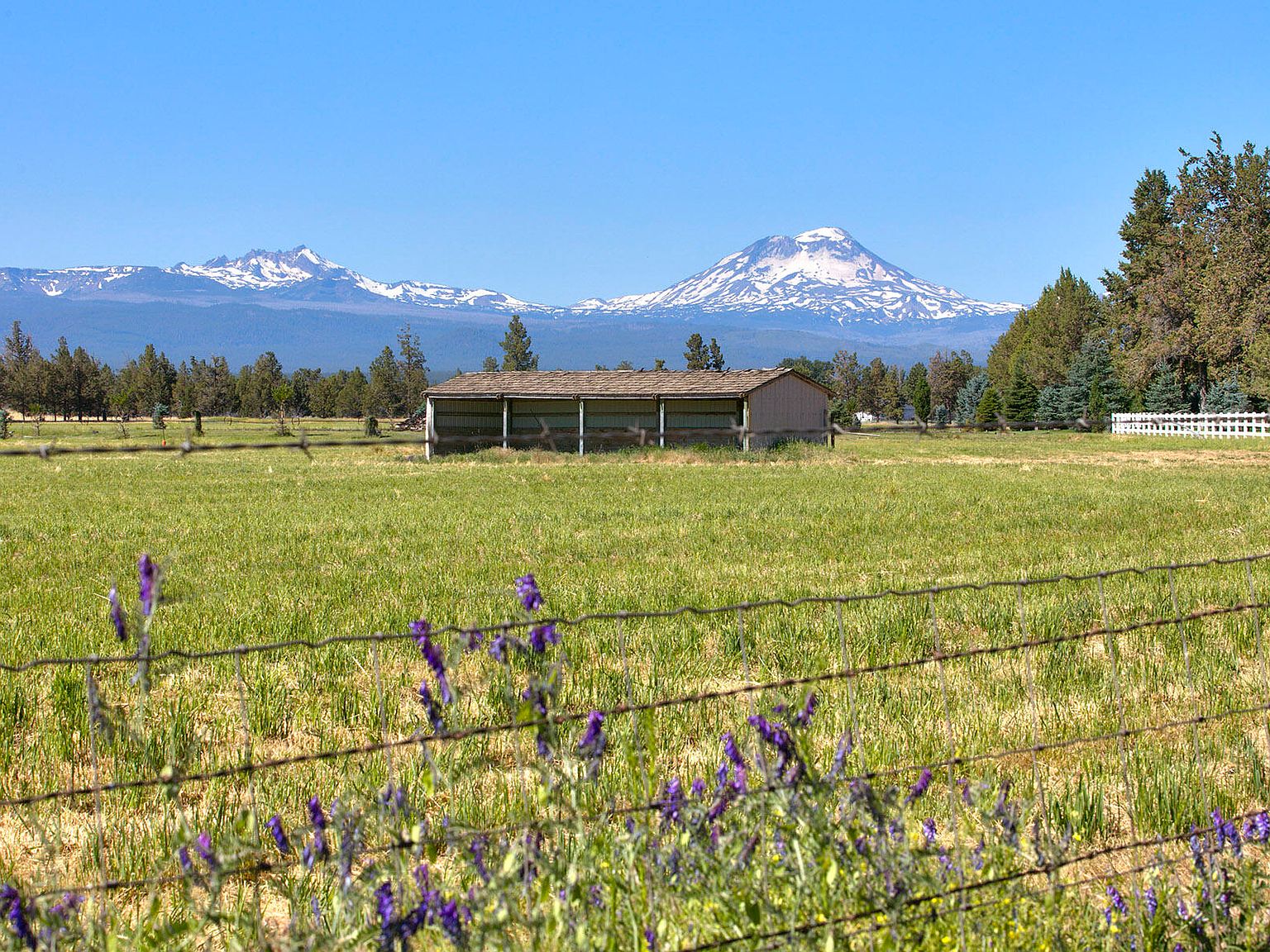 69019 Holmes Rd, Sisters, OR 97759 MLS 220151522 Zillow