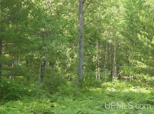 Tbd Hiawatha Station Rd, Manistique, MI 49854