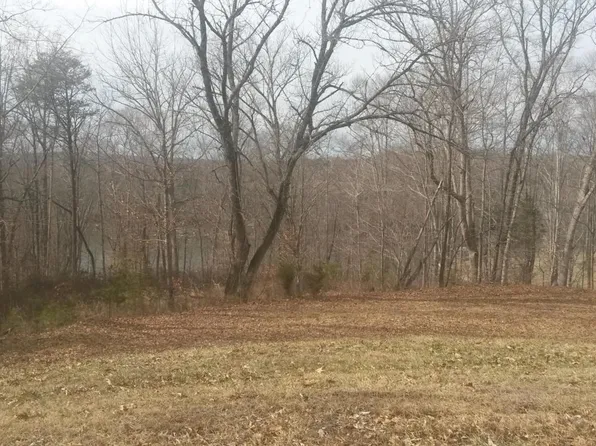 Sassafras Ct, Moneta, VA 24121
