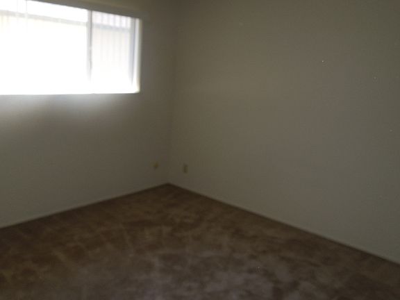 Master BR Blinds throughout