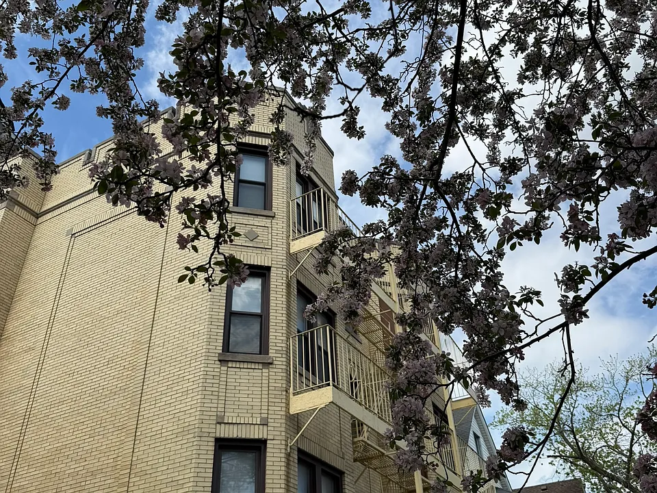 3134 N Kimball Ave #101