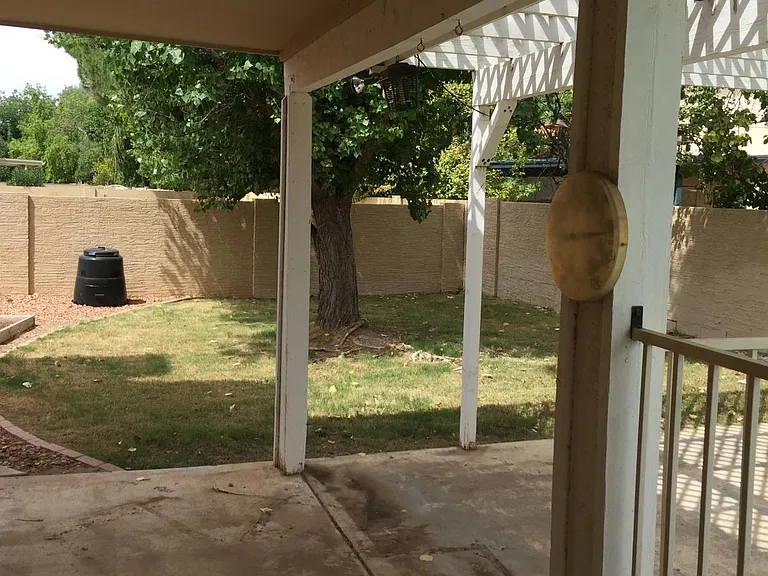back yard