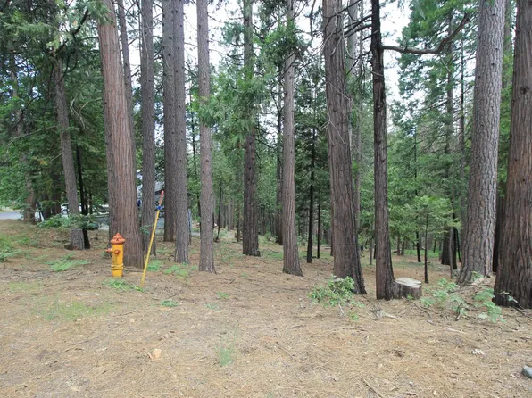 2310 Sultana Rd, Arnold, CA 95223
