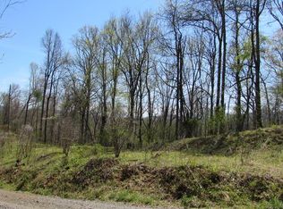 810 Old Log Rd, Green Mountain, NC 28740