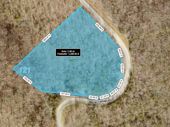 652 Walnut Springs Dr, Cape Fair, MO 65624