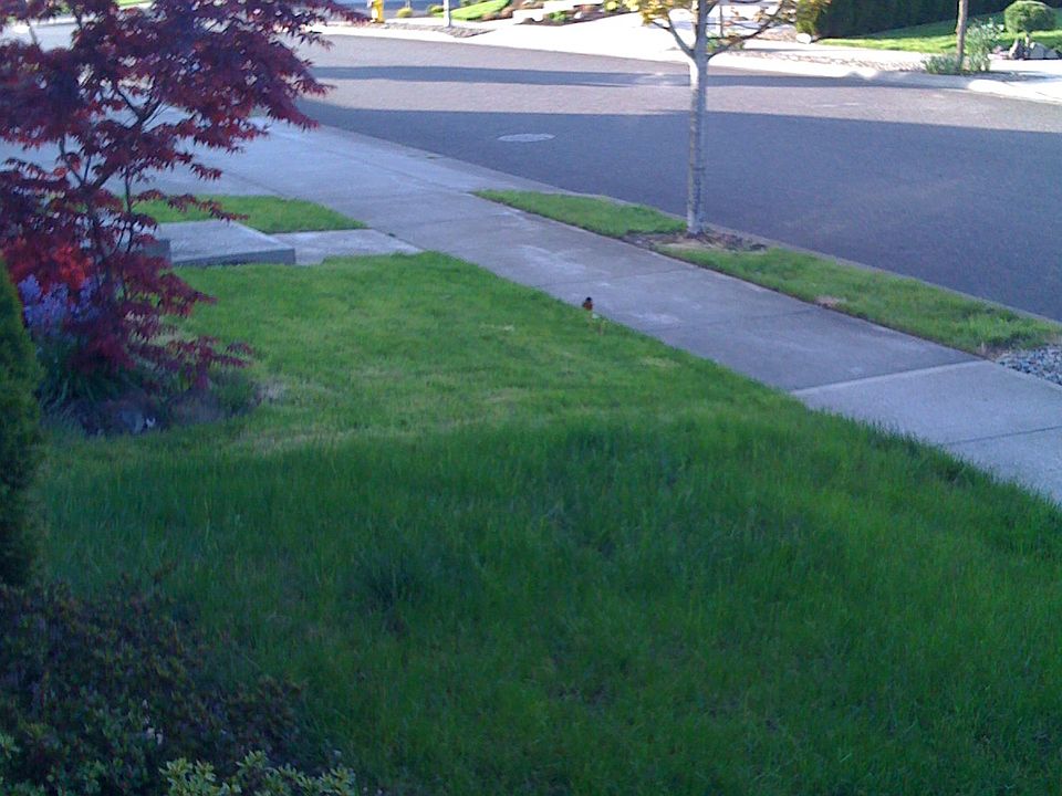 2nd image of 3208 SE 196th Ave