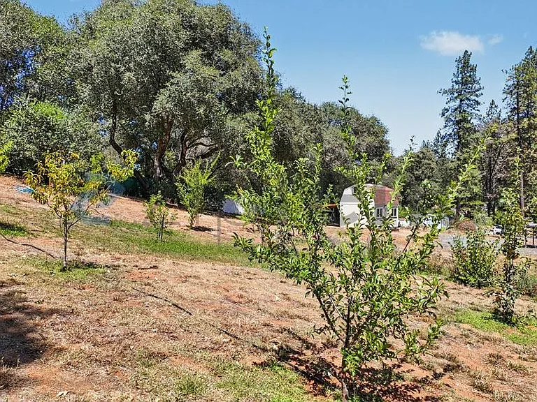 17068 Vintage Dr — Photo 64